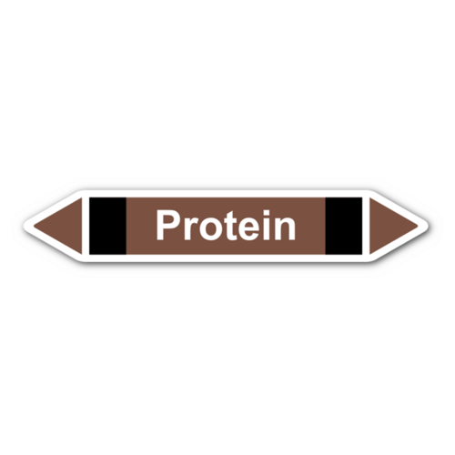 Protein