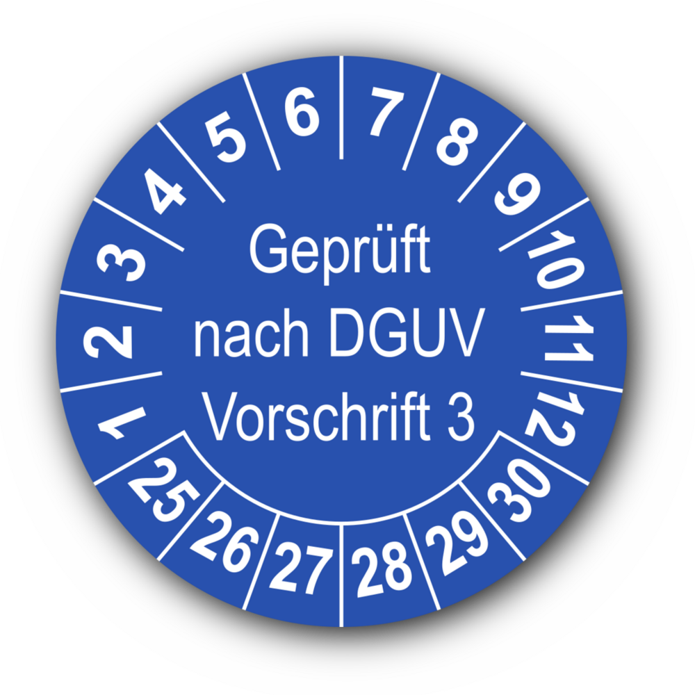 DGUV Prüfplakette Wartungs Prüfplaketten Individuell Jahreszahlen nach Wunsch A1 
