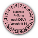 Nächste Prüfung nach DGUV Vorschrift 54, rosa