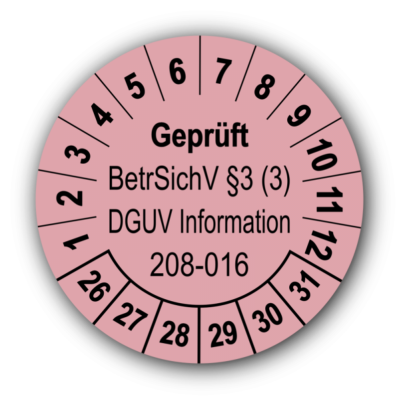 Geprüft BetrSichV §3 (3) DGUV Information 208-016, rosa