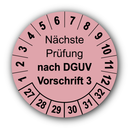 Nächste Prüfung nach DGUV Vorschrift 3, rosa