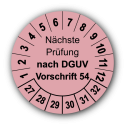 Nächste Prüfung nach DGUV Vorschrift 54, rosa