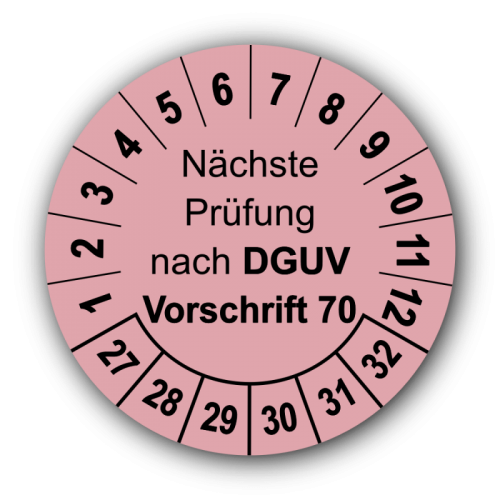 Nächste Prüfung nach DGUV Vorschrift 70, rosa