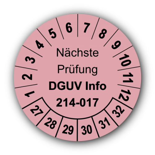 Nächste Prüfung DGUV Information 214-017, rosa