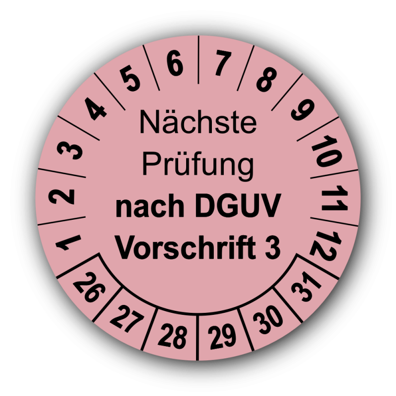 Nächste Prüfung nach DGUV Vorschrift 3, rosa